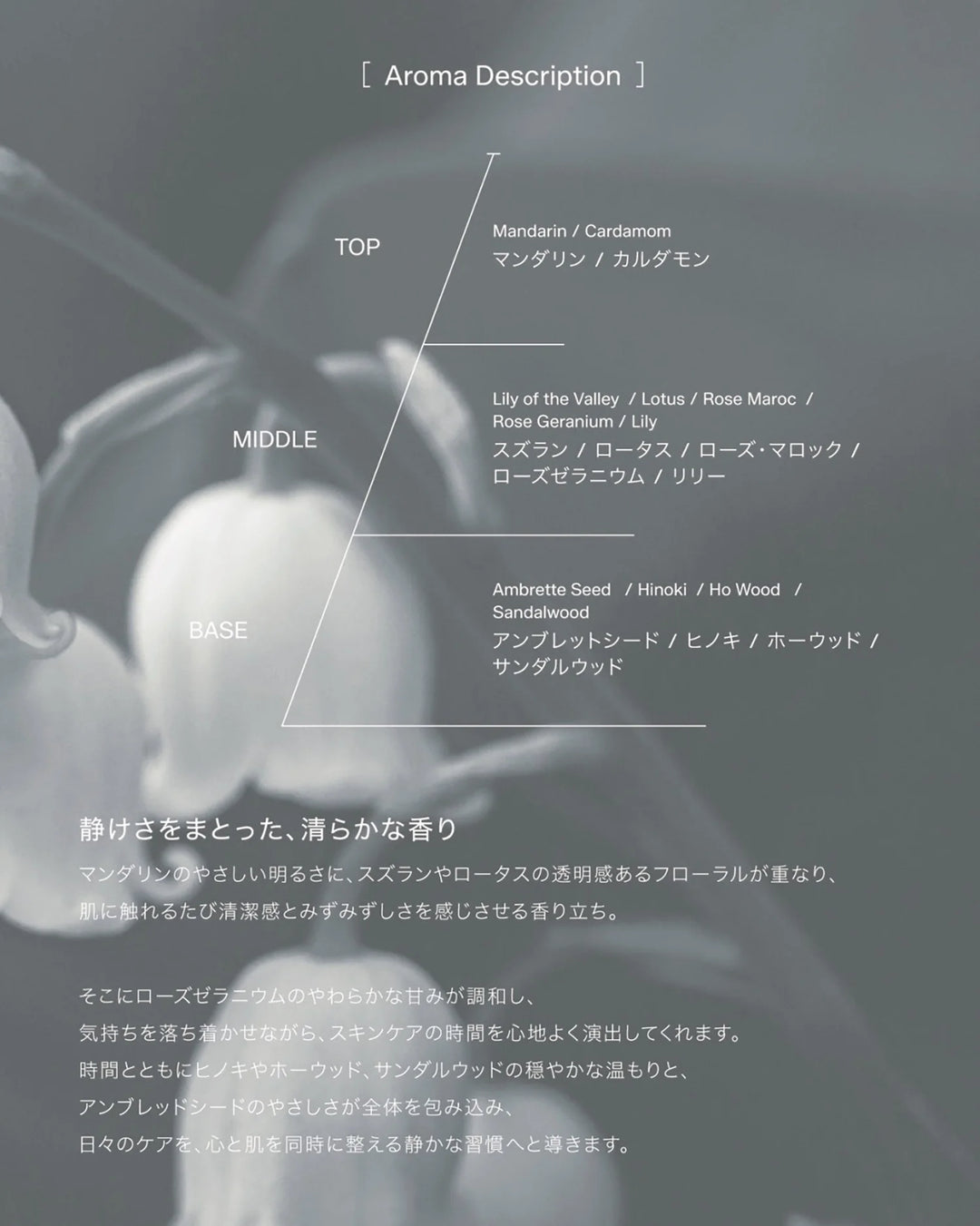SUWAH Northern プラセンエッセンス – DD