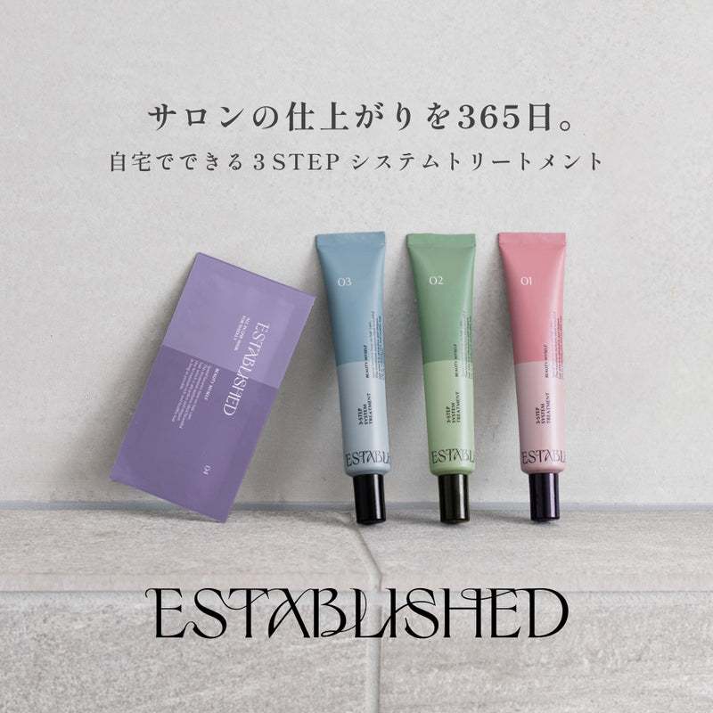 ESTABLISHED システムトリートメント