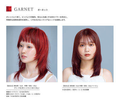N. ルフレカラー 9-GA(ガーネット) 80g