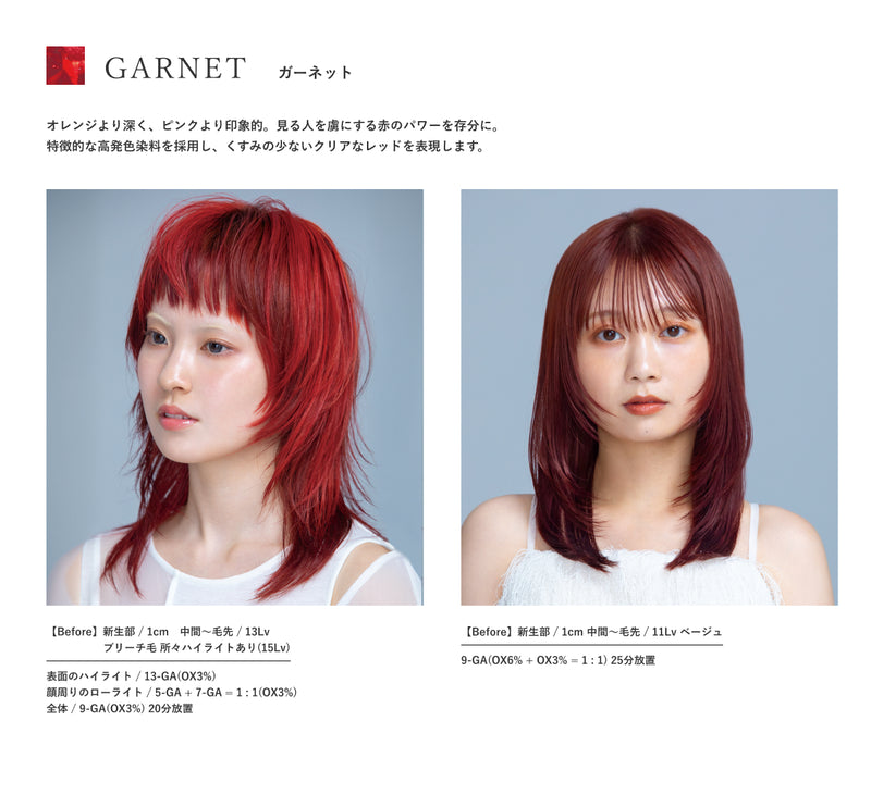 N. ルフレカラー 9-GA(ガーネット) 80g