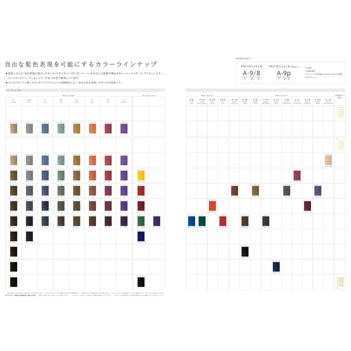 【処分価格】HOYU プロマスター&ピグメント ヘアカラー 74本 美容室 プロマスターピグメント A-6P 80g《ファッションカラー》【医薬部外品