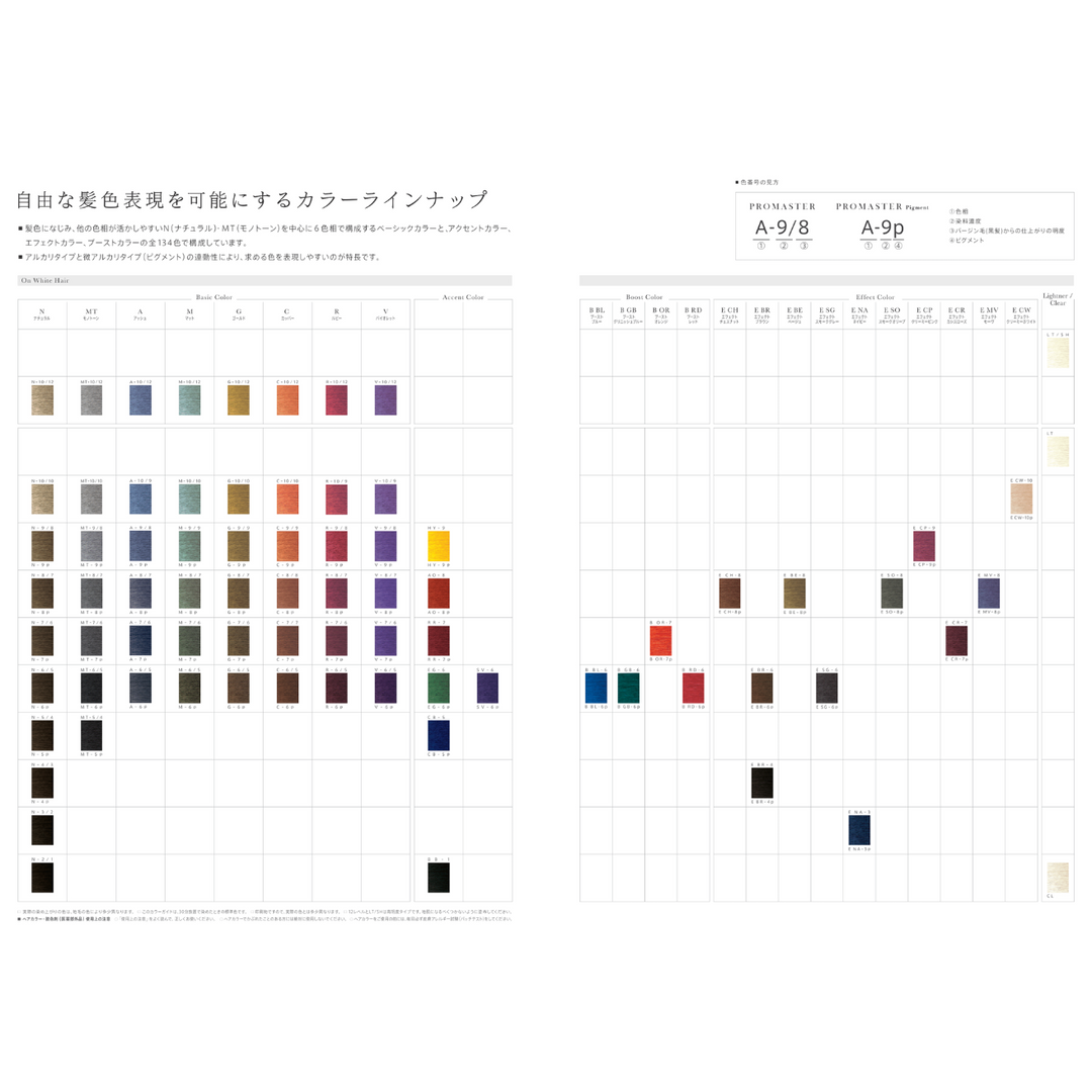 プロマスターピグメント A-6P 80g – DD