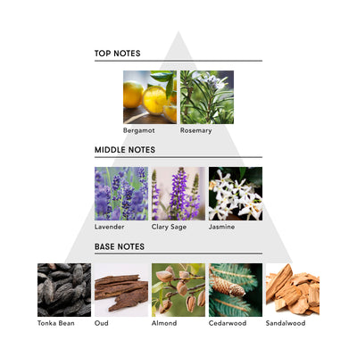 SINN ヘア オイルミルク / THE SECRET HISTORY