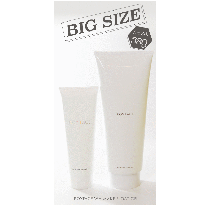 特別価格】ロイフェイス ダブルエイチメイクフロートジェル 380g【-12