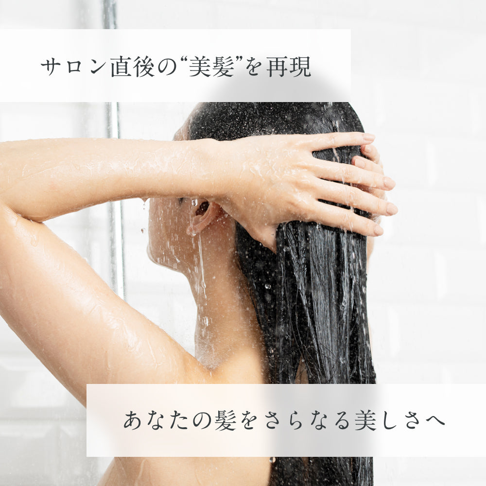 ESTABLISHED システムトリートメント – D-ONLiNE