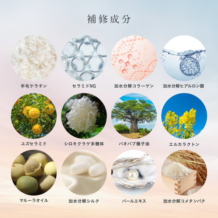 ESTABLISHED システムトリートメント 業務用セット【容器一式