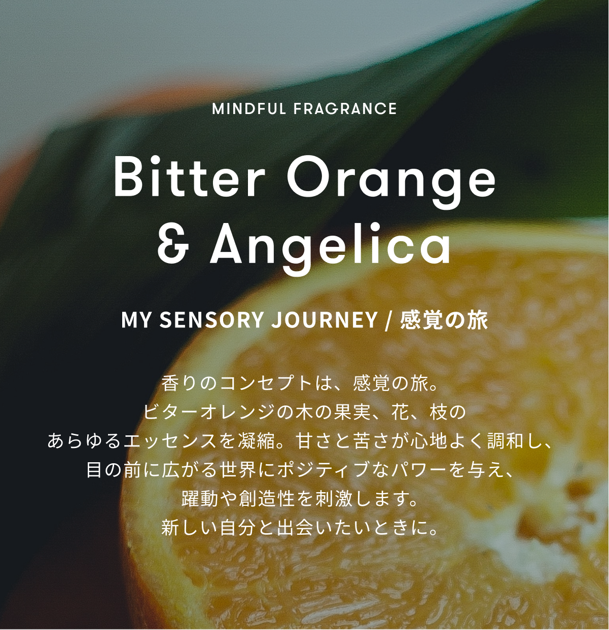 113-1_bitterorange_1800x1800. 113-1_bitterorange_1800x1800.