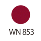 【TRIAL】クリーム フェイスカラー WN853