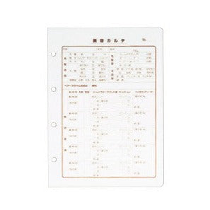 カルテ用紙のみB5 100枚