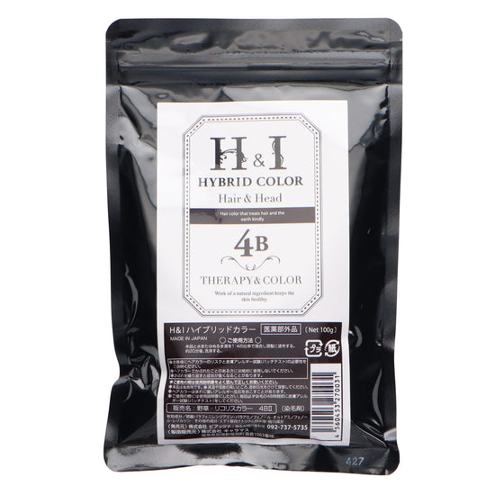 H&Iハイブリッドカラー 4B