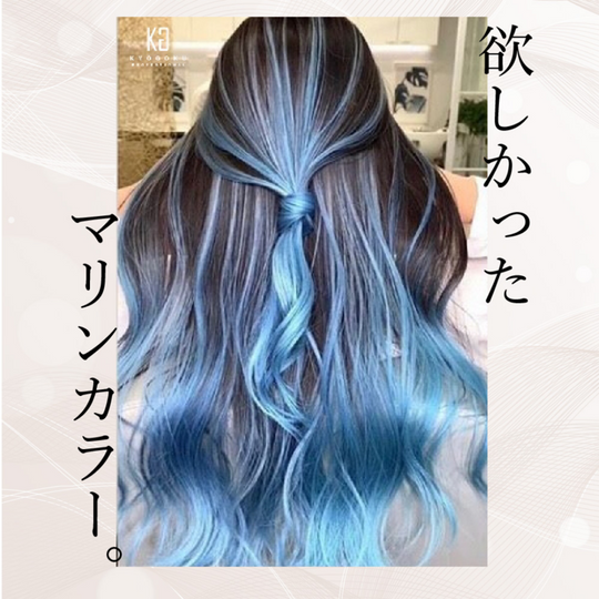 KYOGOKU IROME シルバーコレクション ネイビーシルバー