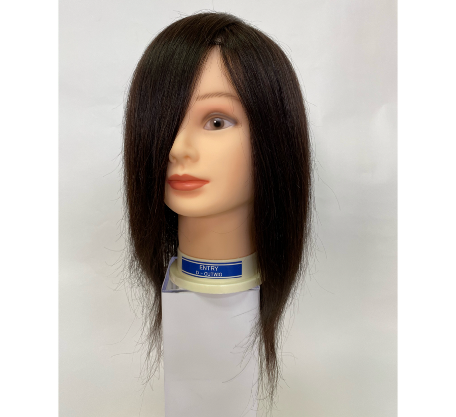 美容学生さんに人気のアイテム集めました！ – D-ONLiNE