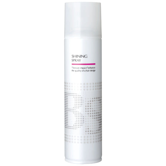 BSスタイリング シャイニング スプレー 168g