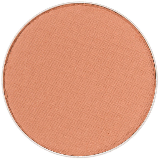 アンリサンク コントロールカラー レフィル H 08 アーモンド