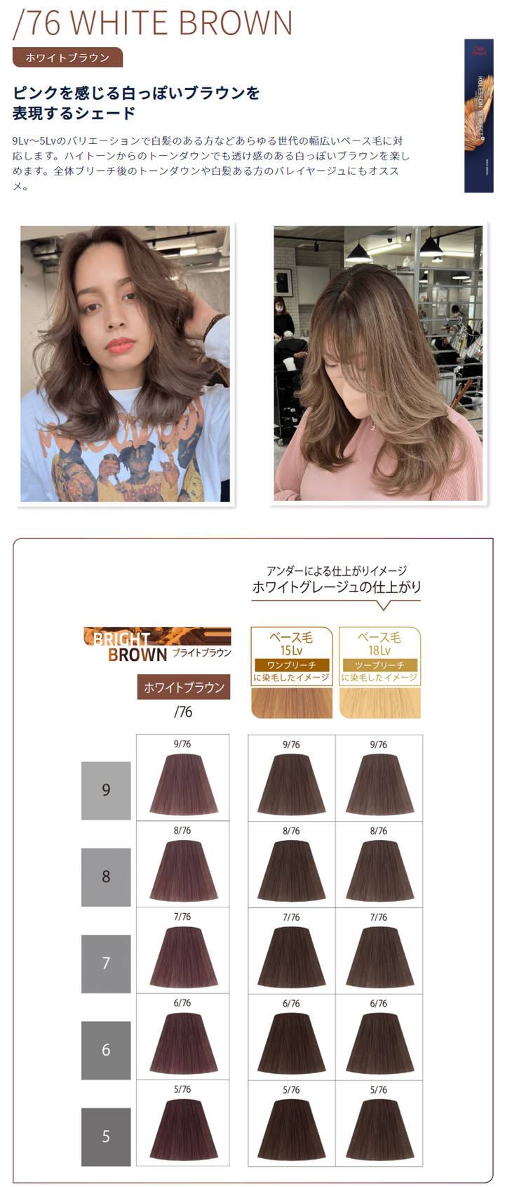 KPコレストン パーフェクト +(プラス) 5/76 ホワイトブラウン 80g – DD KPコレストン パーフェクト +(プラス) 5/76 ホワイトブラウン 80g – DD